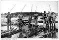 AkerForssaCallegB159-6R001.jpg