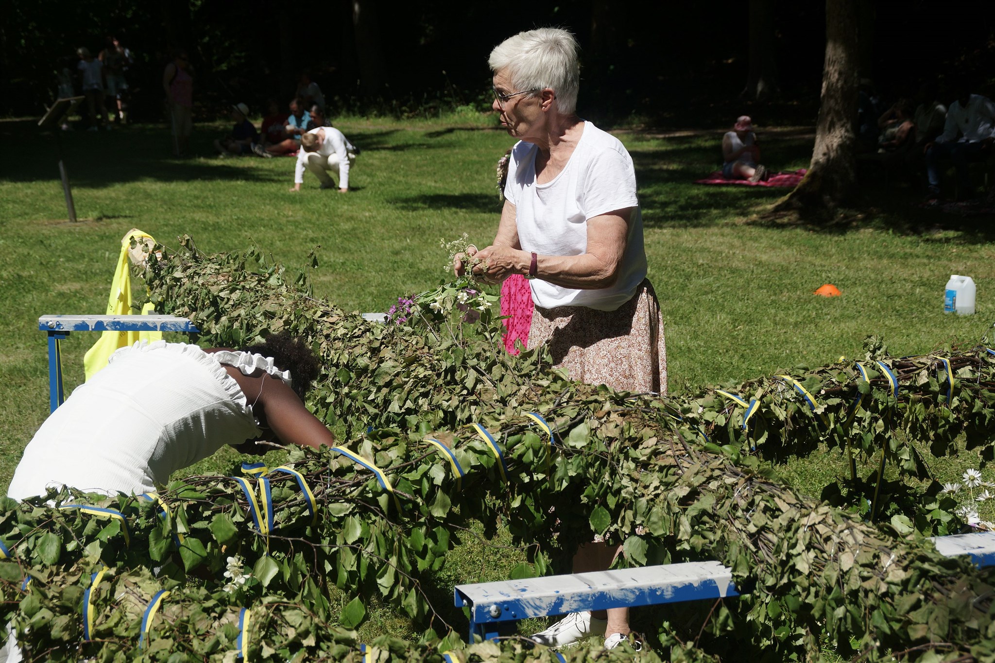 Engelska Parken 24 juni 2022,  Bild 014.JPG